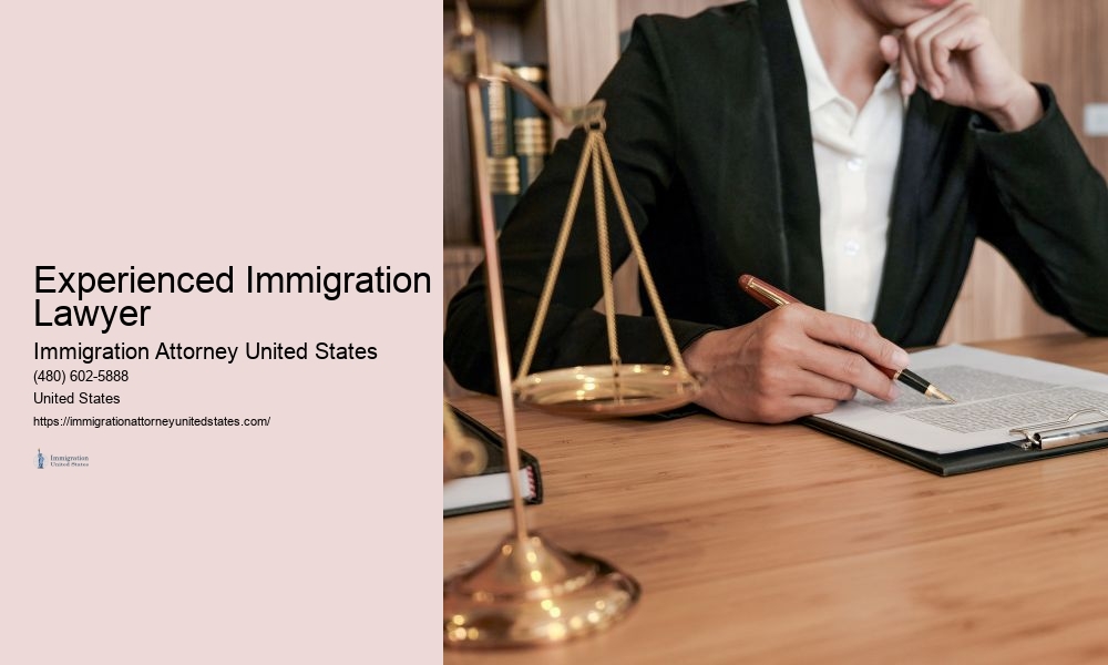 Experienced Immigration Lawyer