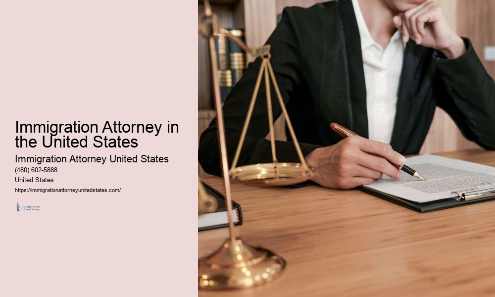 Immigration Attorney in the United States