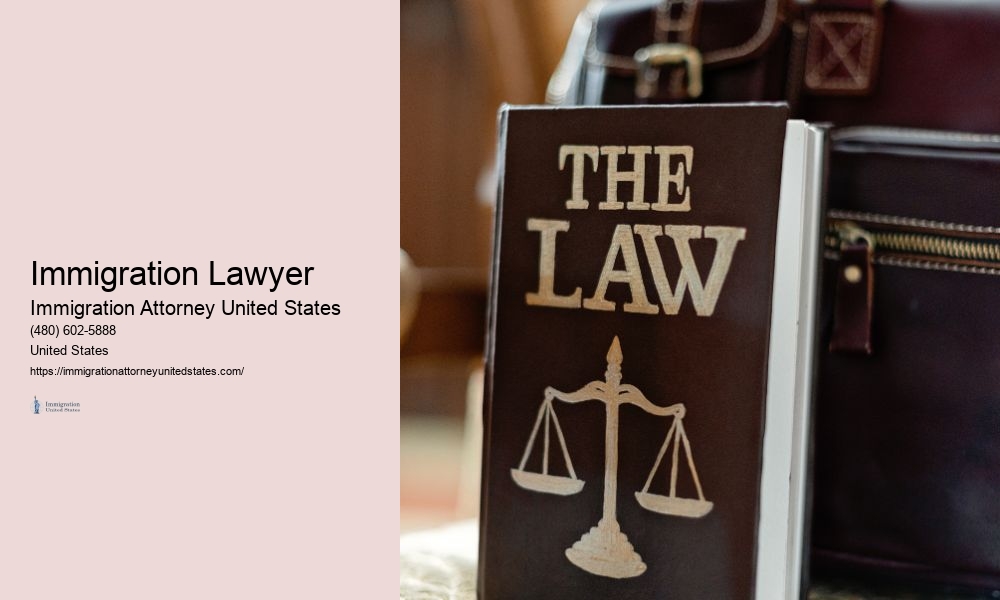 Immigration Lawyer